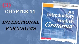 Grammar  Second Stage  Chapter 11  Inflectional Paradigms  Part 3 [upl. by Avehs]