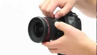 How to control focus and correct perspective with tiltshift lenses [upl. by Slaohcin]