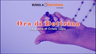 ORA DI DOTTRINA137  La grazia di Cristo capo [upl. by Ahl]