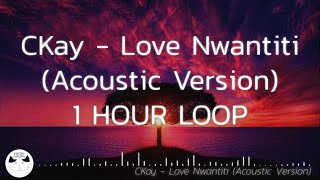 CKay  Love Nwantiti Acoustic 1 HOUR LOOP [upl. by Nahsaj808]