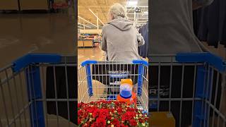 Maximum Security Secret Shopping People In Walmart prank laugh funny reaction shorts [upl. by Nabru]