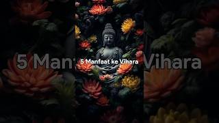 Manfaat ke Vihara buddhaindonesia buddhisindonesia [upl. by Yenal]