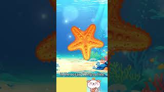 Starfish Song kids song about a starfish kidssong kidslearning starfish [upl. by Wolfy]