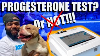 Are Progesterone Test Necessary [upl. by Farnsworth448]