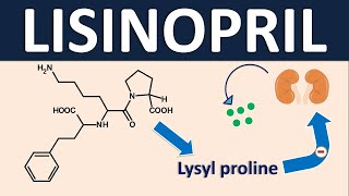 Lisinopril as antihypertensive [upl. by Wemolohtrab]