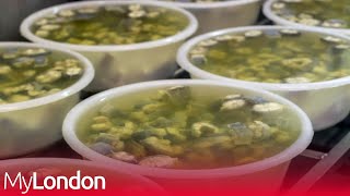 We Got People In Camden To Try Jellied Eels [upl. by Solon954]