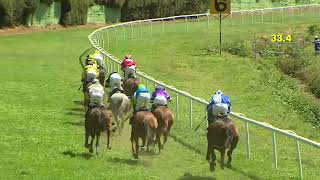 RACE NO  51  BRILLIANT LADY WINS  The Rahys Serenade Handicap Div2 [upl. by Weasner]