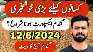 Latest Wheat Rate Today  Market Wheat Price Pakistan  Zaraat زراعت [upl. by Bonnee]