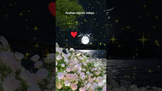 islamicvideo motivation love ❤viralvideo  islamic quotes🤗🤗😍🥰❤ ytshorts [upl. by Darlleen]