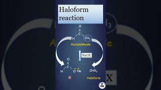 Haloform  Iodoform reaction [upl. by Llien]