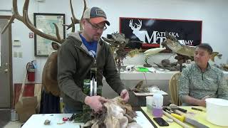 Learn Taxidermy Part 3Professional Tanning for Todays Taxidermists [upl. by Ecyac]