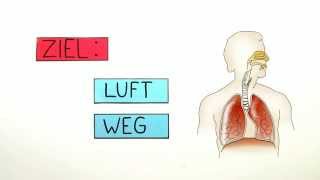 Atmung Der Weg durch den Körper  Biologie  Humanbiologie [upl. by Lucie]