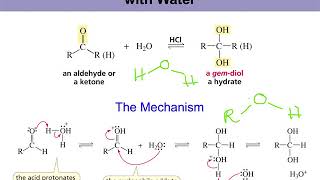 Organic Chemistry II Chapter 16 part 5  enamine formation acetal formation [upl. by Nilat]