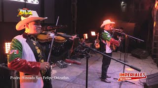 TRIO IMPERIALES DE LA SIERRA GRUPO DISTINTO│EN VIVO│PIEDRA HINCADA ORIZATLAN HIDALGO FULL HD 2024 [upl. by Rednav]