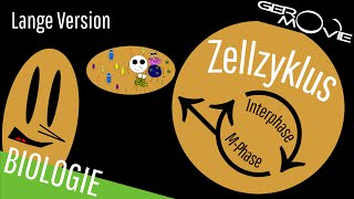 ► Zellzyklus und Zellteilung  verständlich erklärt  Lange Version [upl. by Raychel421]