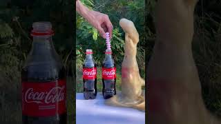 Coke vs mintos science experiment [upl. by Sukram670]