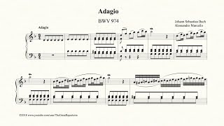 Bach Adagio BWV 974 [upl. by Anema]