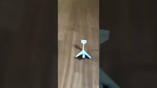 PocketSize RC Ground Effect Vehicle Ekranoplan [upl. by Giannini369]