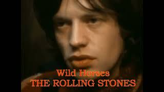 ROLLING STONES  WILD HORSES [upl. by Hsilgne]