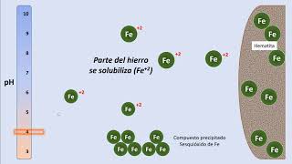 Cap103 Deficiencias nutricionales en las plantas [upl. by Nanreit447]