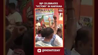 BJP Celebrates Victory In Haryana  Haryana Election Result News  India Today [upl. by Eixid964]