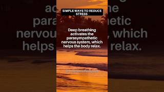 Simple Ways to Reduce Stress [upl. by Jamil]