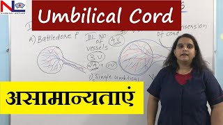 Umbilical Cord Abnormalities In Hindi  Morphological variation of Cord  Nursing Lecture [upl. by Idonah]