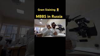 Gram StainingMbbs in Russia👨‍⚕️♥️ mbbsinrussia medicalcollege [upl. by Ytinirt]