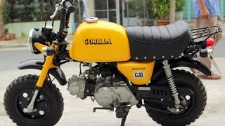 Honda Gorilla 50cc Monkey bike Collection [upl. by Eitak263]