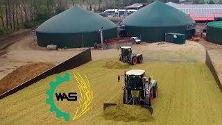 WAGNER AGRARSERVICE im Einsatz  Claas Jaguar 980  5 Mercedes Actros  2 Claas Xerion 3800  Mais [upl. by Phillips948]