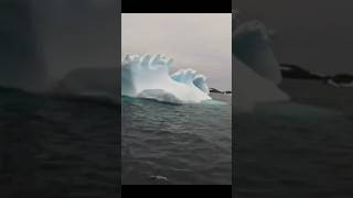 Antarctica Glacier Icebergs youtubeshorts foryou viral travel trending tour reels shorts [upl. by Iron]