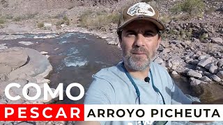 PESCA CON MOSCA en el ARROYO PICHEUTA ✅🏆 MIRA EL VÍDEO 🎣🐟 [upl. by Freddy369]