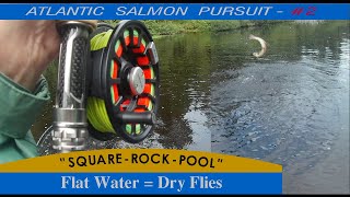 Dry Fly Fishing For Atlantic Salmon  Miramichi River System  Video [upl. by Selinda251]