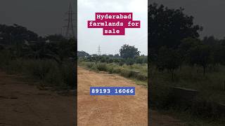 agricultural land for sale in Hyderabad hyderabad farmlands [upl. by Aznarepse]