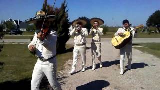 Mariachis de Dallas Tx y FORT WORTH Mariachi Mexico USA Dallas Texas 2145525323 [upl. by Ainivad]