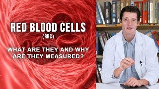 RED BLOOD CELLS RBC  what are they and why are they measured [upl. by Aceber]