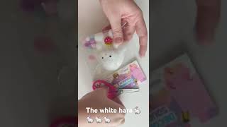 The white hare🐇🐇🐇🐇🐇🐇🐇 [upl. by Nirra]