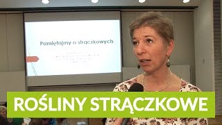 Pamiętajmy o strączkowych  Wszechnica Żywieniowa SGGW [upl. by Enovaj521]