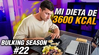 ¿ENTRENAR en AYUNAS en VOLUMEN Así lo hago yo  BULKING SEASON 22 [upl. by Newcomb652]