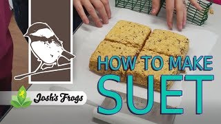 How to Make Suet A Fat and Calcium Rich Bird Food [upl. by Wainwright589]