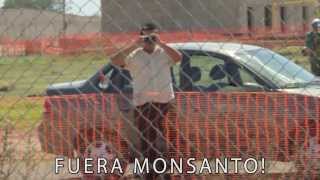 Fuera Monsanto  Perro Verde [upl. by Verlie118]