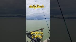 Shelly Beach wharf fishing [upl. by Nahtannoj]