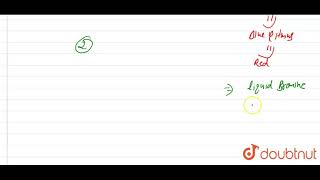 How will you distinguish between benzyl alcohol and phenol [upl. by Nichol675]