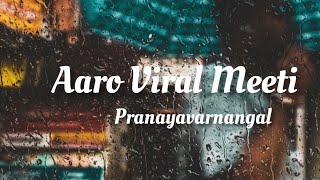 Aaro Viral Meeti Song Lyrics  pranayavarnangal [upl. by Eiramenna]