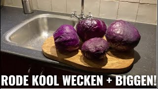 Rode kool maken en wecken recept  nieuwe biggetjes [upl. by Suruat]