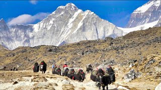 Land of the SHERPAS Walking under Mount Everest 4K Mount Everest Base Camp Trek  Full Documentary [upl. by Annelak27]