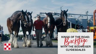 Behind the Scenes with the Budweiser Clydesdales [upl. by Toiboid]