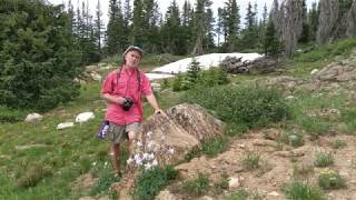 Wyoming Stromatolites [upl. by Lladnar]