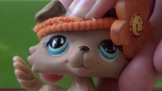 Littlest Pet Shop Advent Calendar Door 17 [upl. by Akkahs]