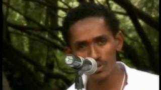 Oromo Music Hacaaluu Hundessa [upl. by Avot]